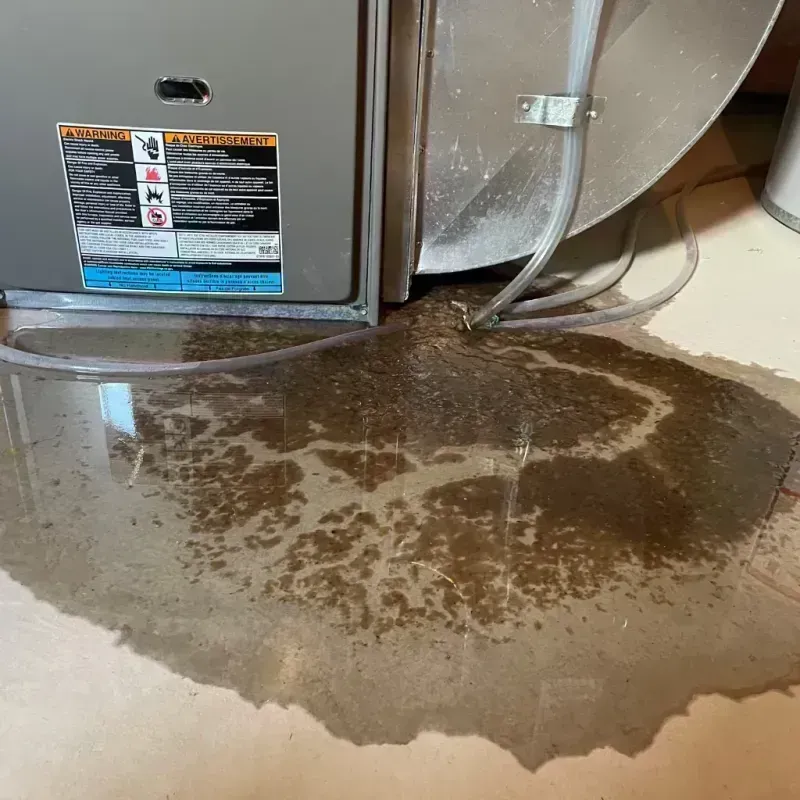 Appliance Leak Cleanup in Granite County, MT